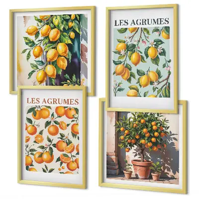 Fruitige citruspatronen meerluik in lijst