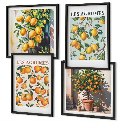 Fruitige citruspatronen meerluik in lijst