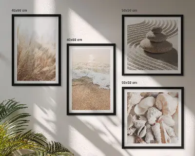 Strandmotieven met schelpen en golven meerluik in lijst