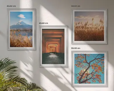 Japanse natuurlandschappen posters set inclusief lijst