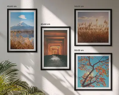 Japanse natuurlandschappen posters set inclusief lijst