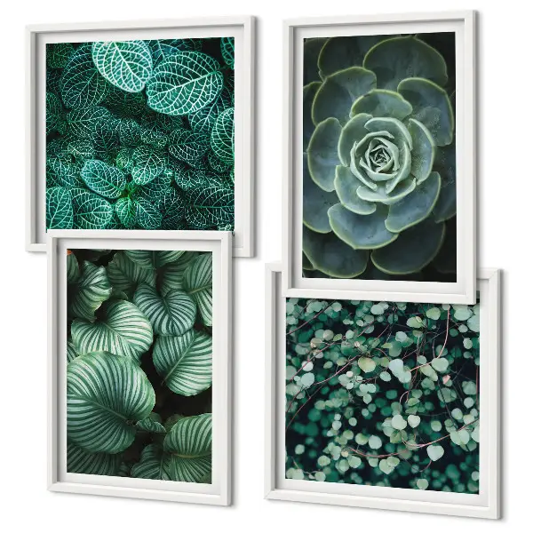 Set posters met lijst Groene sappige bladeren set posters met lijst