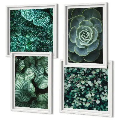 Set van posters met lijst Groene sappige bladeren