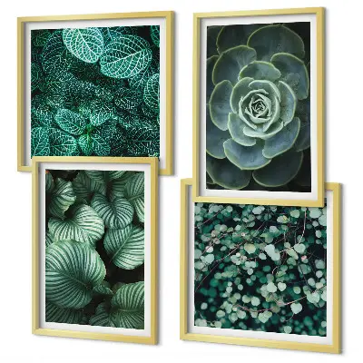 Set posters met lijst Groene sappige bladeren set posters met lijst