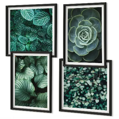 Set posters met lijst Groene sappige bladeren set posters met lijst