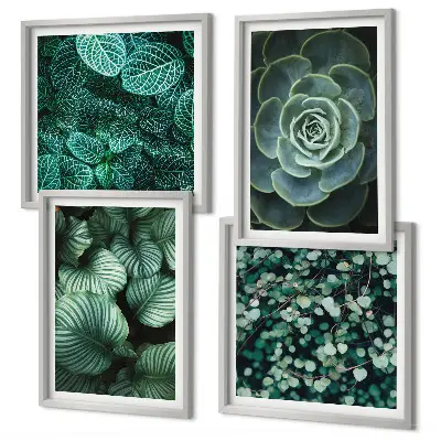 Set posters met lijst Groene sappige bladeren set posters met lijst