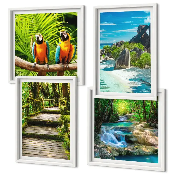 Papegaaienwaterval in tropisch bos set van posters met lijst