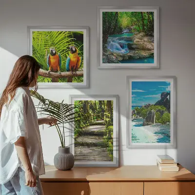 Papegaaienwaterval in tropisch bos set van posters met lijst