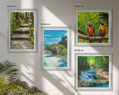 Papegaaienwaterval in tropisch bos set van posters met lijst