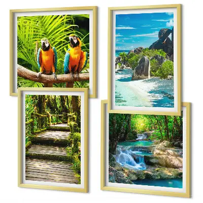 Papegaaienwaterval in tropisch bos set van posters met lijst