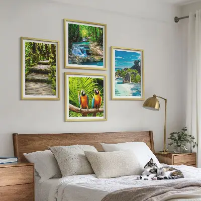 Papegaaienwaterval in tropisch bos set van posters met lijst