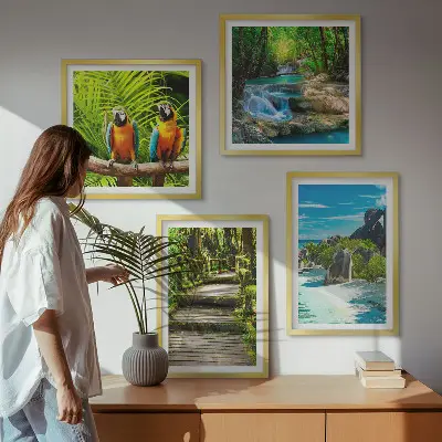 Papegaaienwaterval in tropisch bos set van posters met lijst