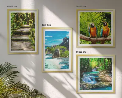 Papegaaienwaterval in tropisch bos set van posters met lijst