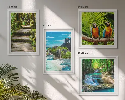 Papegaaienwaterval in tropisch bos set van posters met lijst