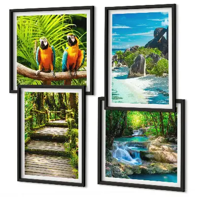 Papegaaienwaterval in tropisch bos set van posters met lijst
