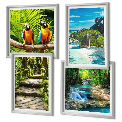 Papegaaienwaterval in tropisch bos set van posters met lijst