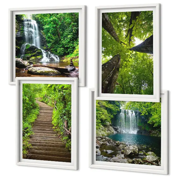 Meerluik in lijst pad door het bos met waterval en vegetatie