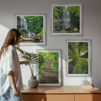 Meerluik in lijst pad door het bos met waterval en vegetatie