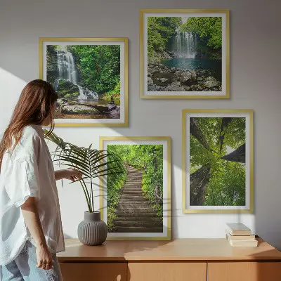 Meerluik in lijst pad door het bos met waterval en vegetatie