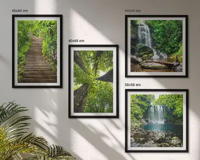 Meerluik in lijst pad door het bos met waterval en vegetatie