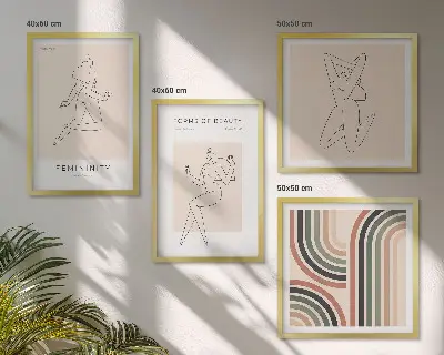 Vrouwelijke silhouetten posters meerluik in lijst