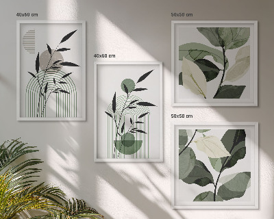Meerluik in lijst Boho plantencomposities