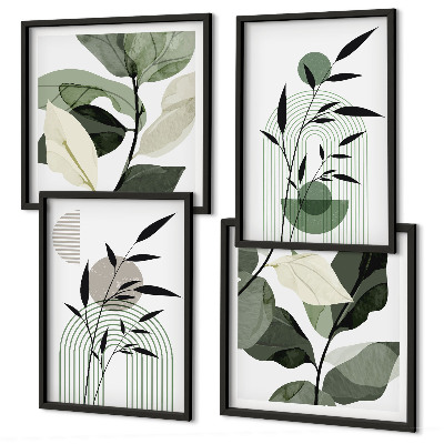 Meerluik in lijst Boho plantencomposities