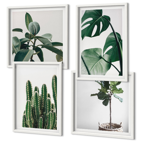 Meerluik in lijst De esthetiek van tropische planten