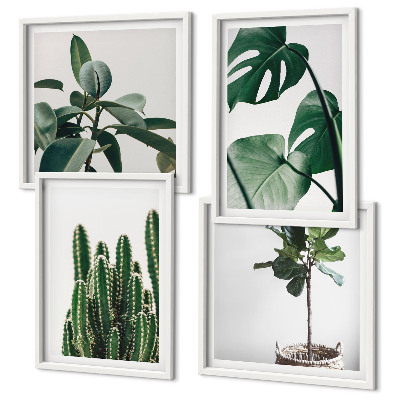 Meerluik in lijst De esthetiek van tropische planten