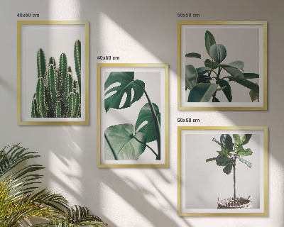 Meerluik in lijst De esthetiek van tropische planten