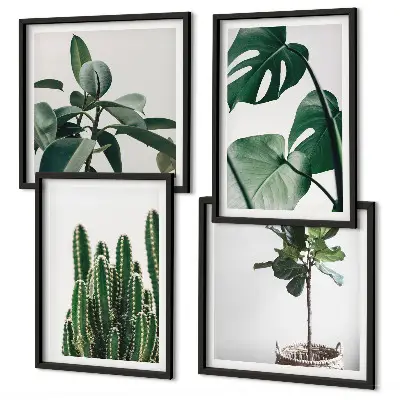 De esthetiek van tropische planten meerluik in lijst