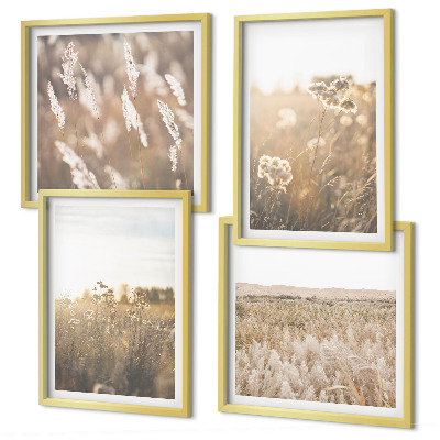 Meerluik in lijst Landschapsgras, bloemen, warmte