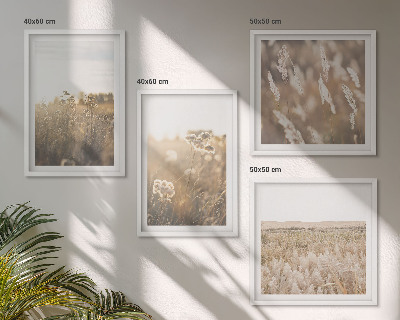 Meerluik in lijst Landschapsgras, bloemen, warmte