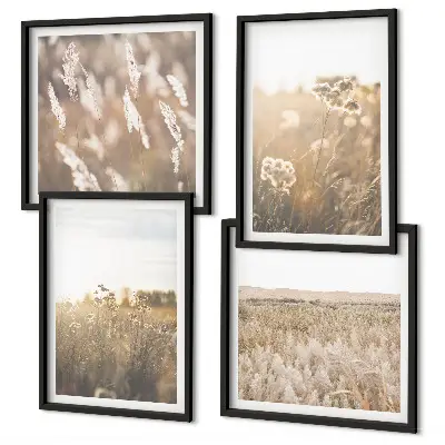 Meerluik in lijst landschapsgras met bloemen en warmte