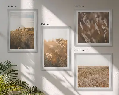Meerluik in lijst zomerweiden met bloemen bij zonsondergang