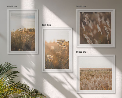 Meerluik in lijst Zomerweiden, bloemen, zonsondergang