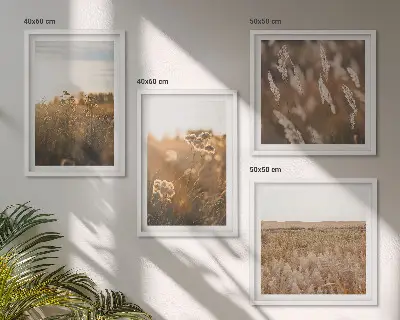 Meerluik in lijst zomerweiden met bloemen bij zonsondergang