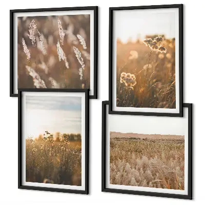 Meerluik in lijst zomerweiden met bloemen bij zonsondergang