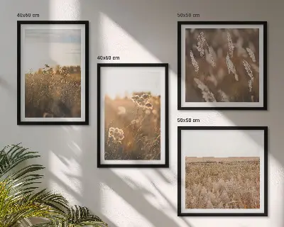 Meerluik in lijst zomerweiden met bloemen bij zonsondergang