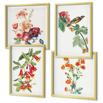 Meerluik in lijst met geschilderde bloemen en retro vogel 