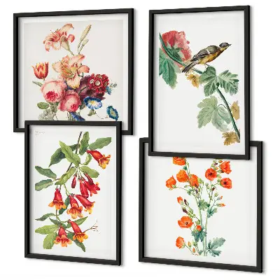 Meerluik in lijst met geschilderde bloemen en retro vogel 