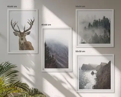 Berglandschap met mist set van posters met lijst