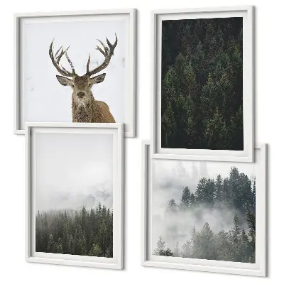 Set van posters met lijst Groene bossen, mistig landschap
