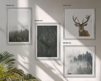 Poster met lijst Groene bossen mistig landschap