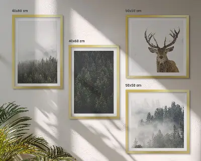 Poster met lijst Groene bossen mistig landschap