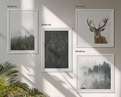 Poster met lijst Groene bossen mistig landschap