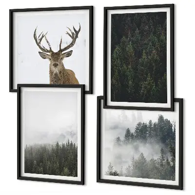 Poster met lijst Groene bossen mistig landschap