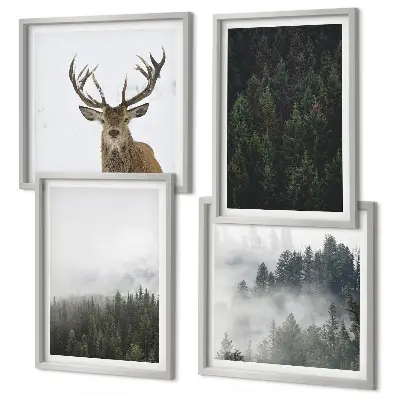 Poster met lijst Groene bossen mistig landschap