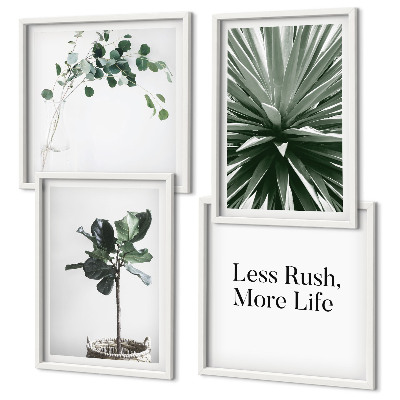 Meerluik in lijst Groene planten minimalisme