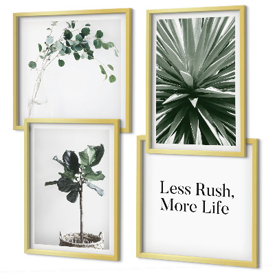 Meerluik in lijst Groene planten minimalisme